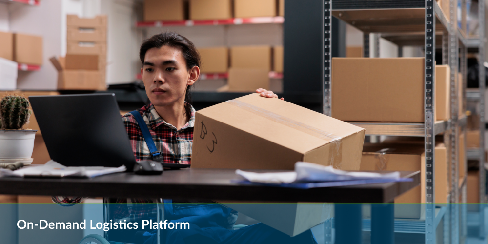 Person in a warehouse with a laptop and cardboard boxes, text "On-Demand Logistics Platform".